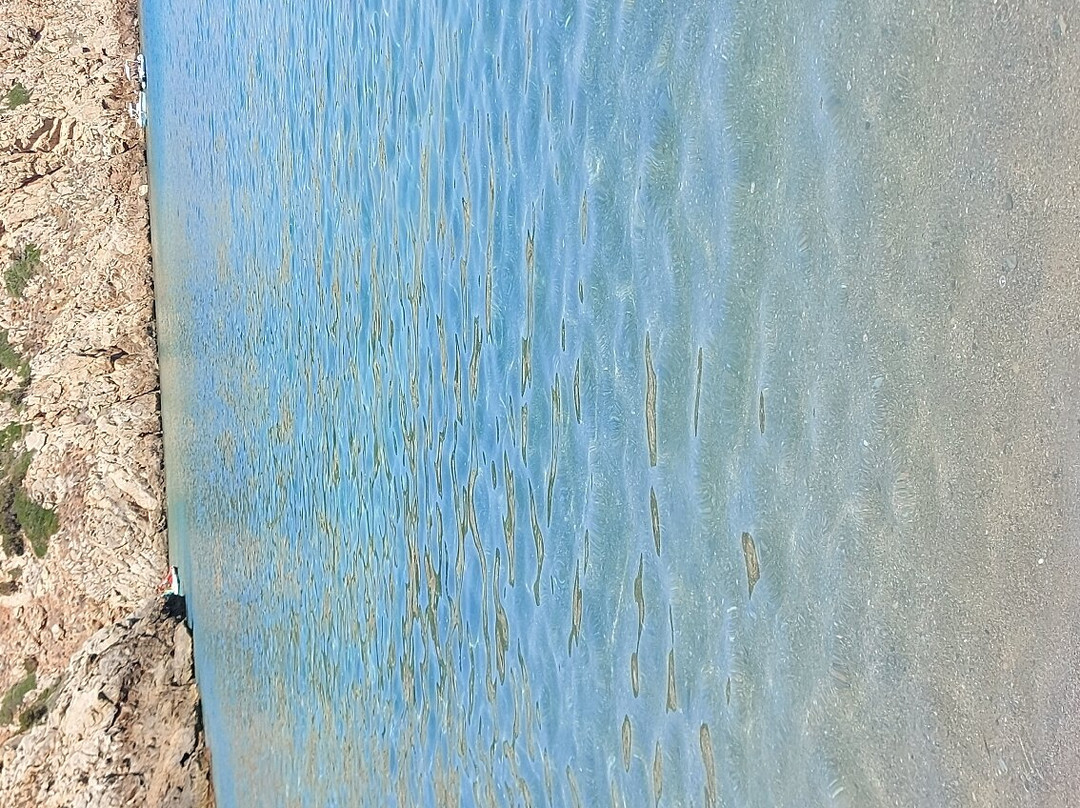 Stabilimento Chiosco Bar Cala Domestica