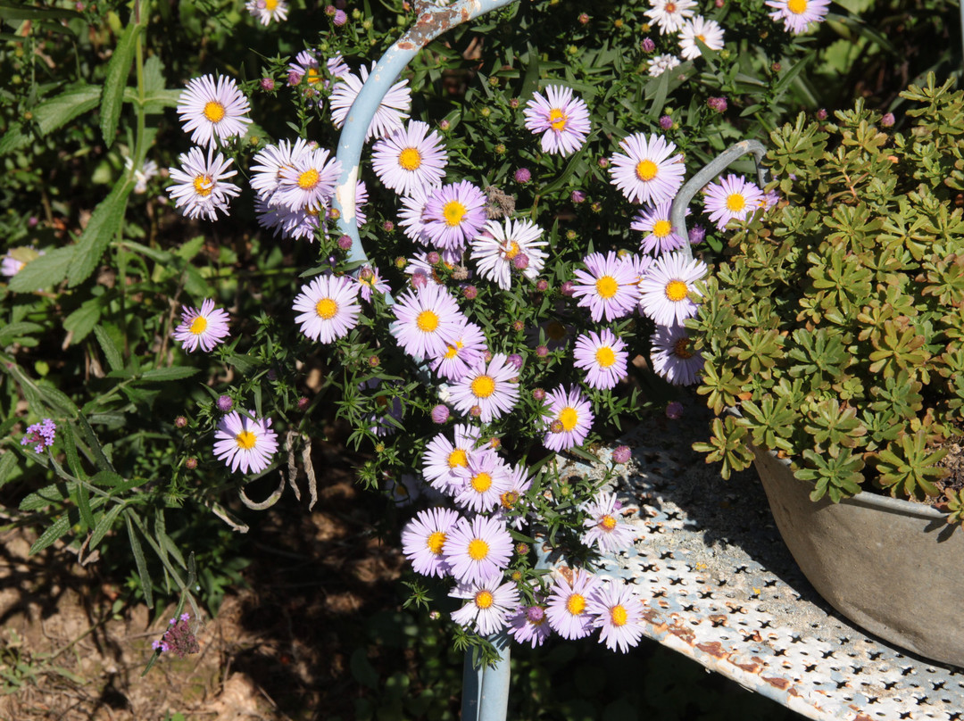 Jardin Le Clos de la Cornière