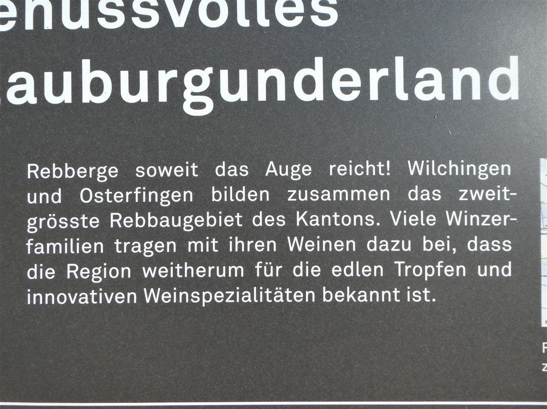 Bergtrotte Osterfingen-Wilchingen必去景点