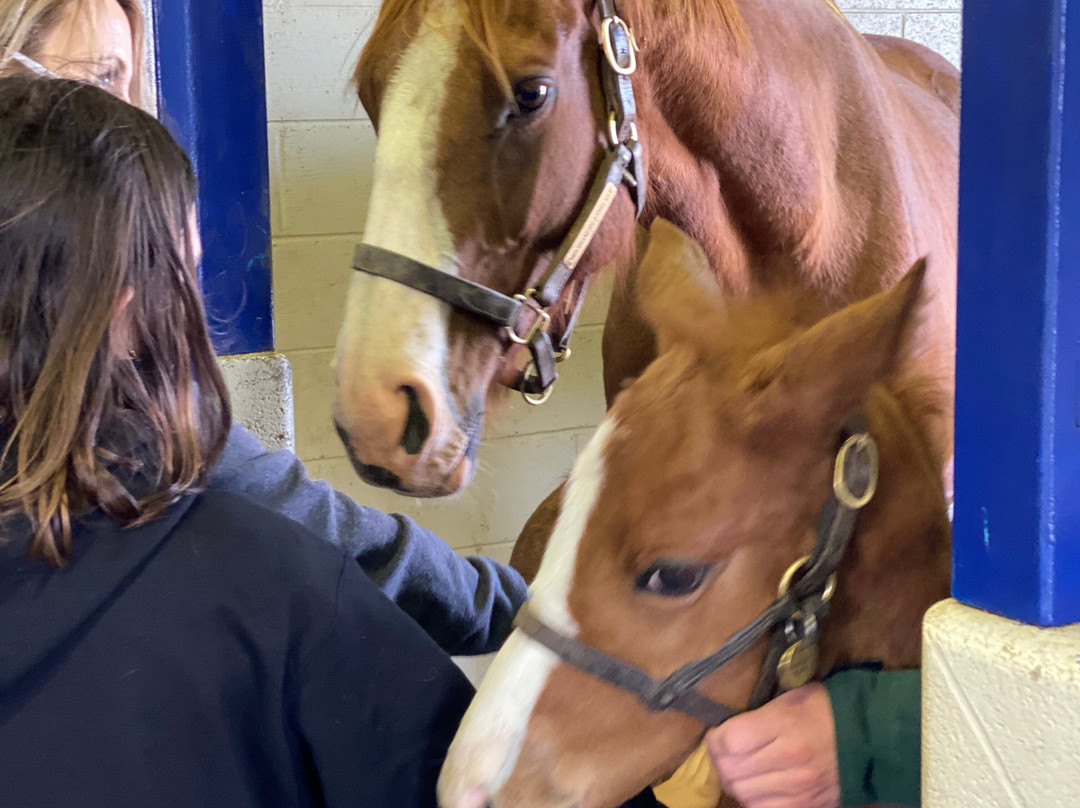 Sun Valley Farm-Versailles必去景点