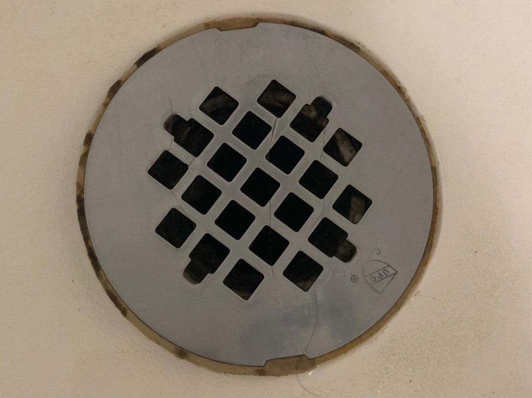 SpringHill Suites by Marriott Sarasota Bradenton主图