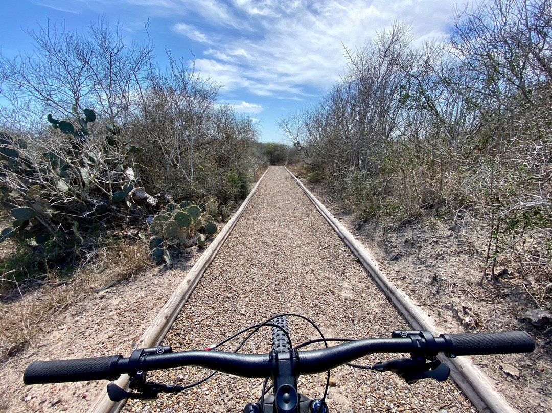 Laguna Atascosa National Wildlife Refuge-德克萨斯州墨西哥湾沿岸必去景点