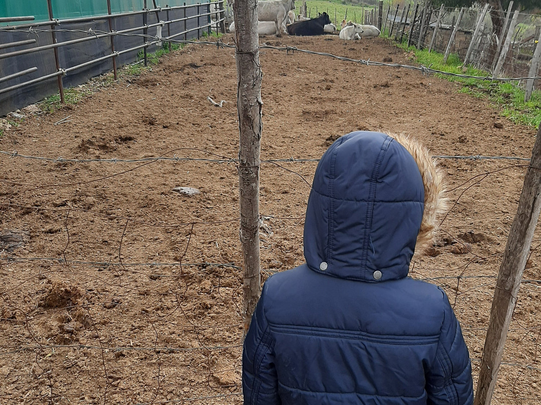 Agro-Verdi Azienda Agricola-Petralia Soprana必去景点