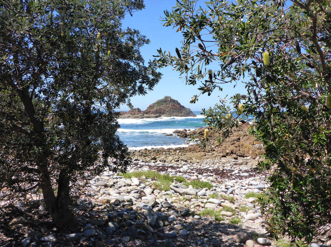 Mimosa Rocks National Park-Tanja必去景点