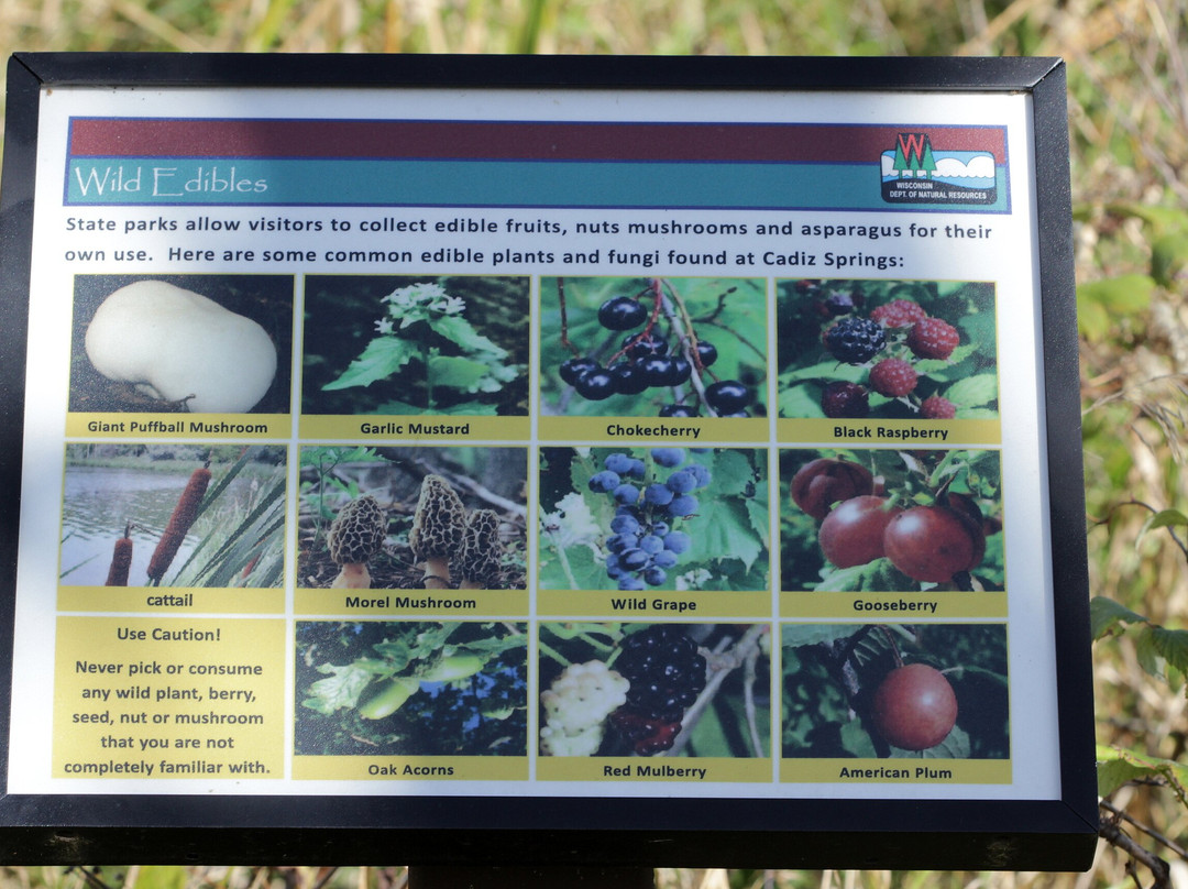 Browntown-cadiz Springs State Recreation Area-Browntown必去景点