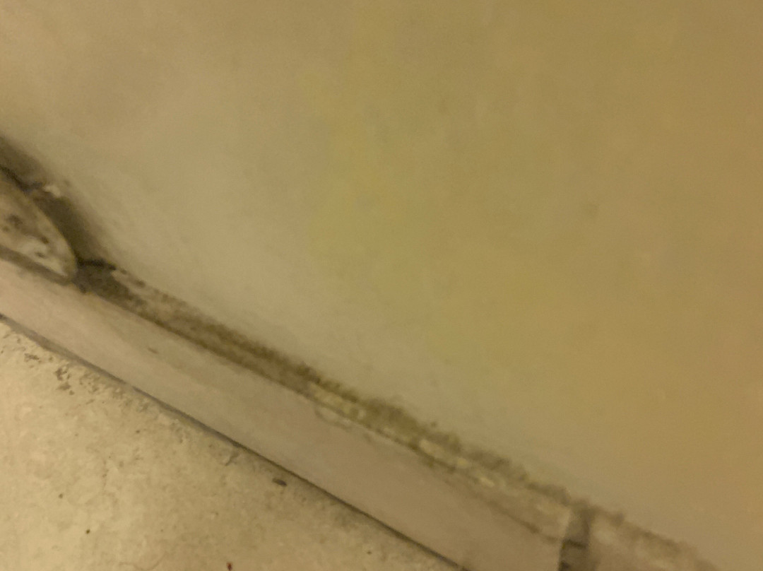 Jamestown Railtown Motel主图