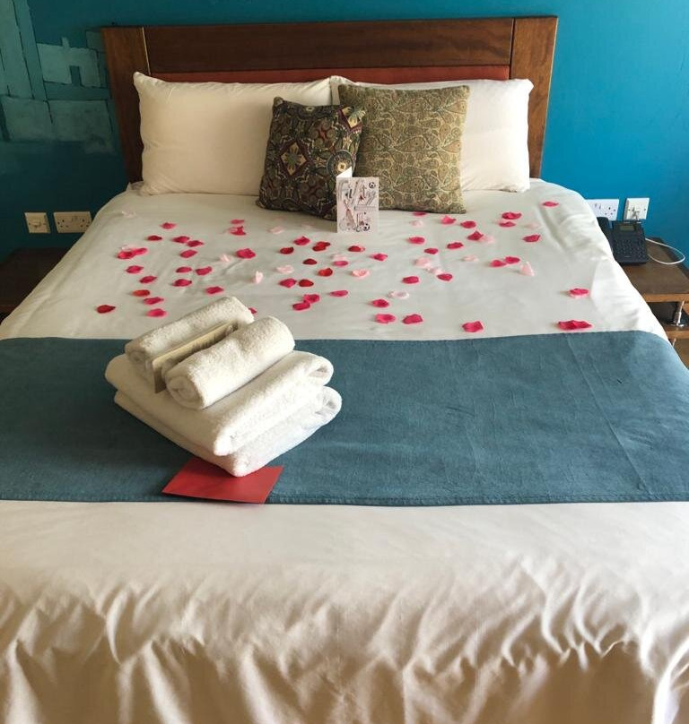 Murella Living主图