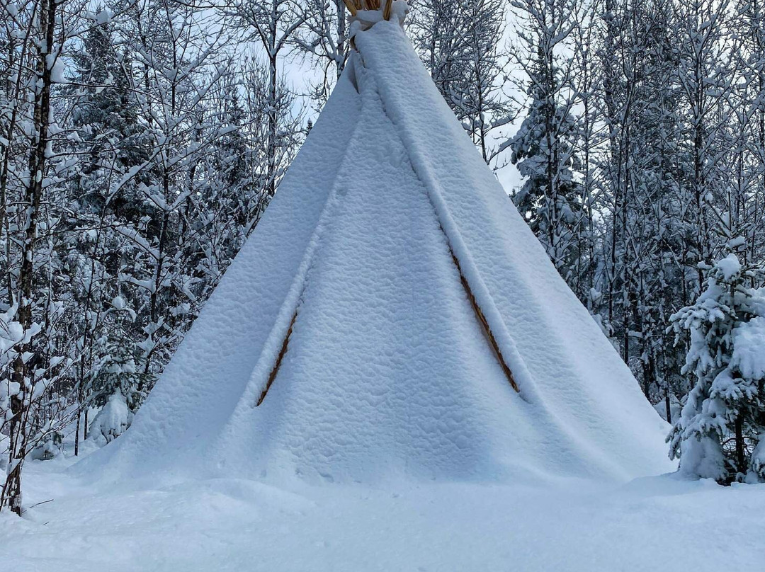 Alaskan Adventure Dog Sledding-Arundel必去景点