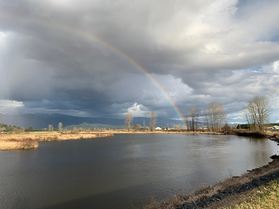 Pitt Polder Ecological Reserve景点图片