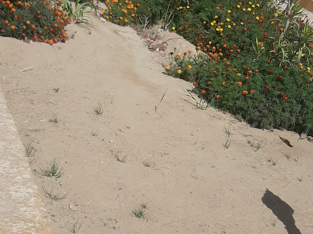 Welcomheritage Mohangarh Fort主图