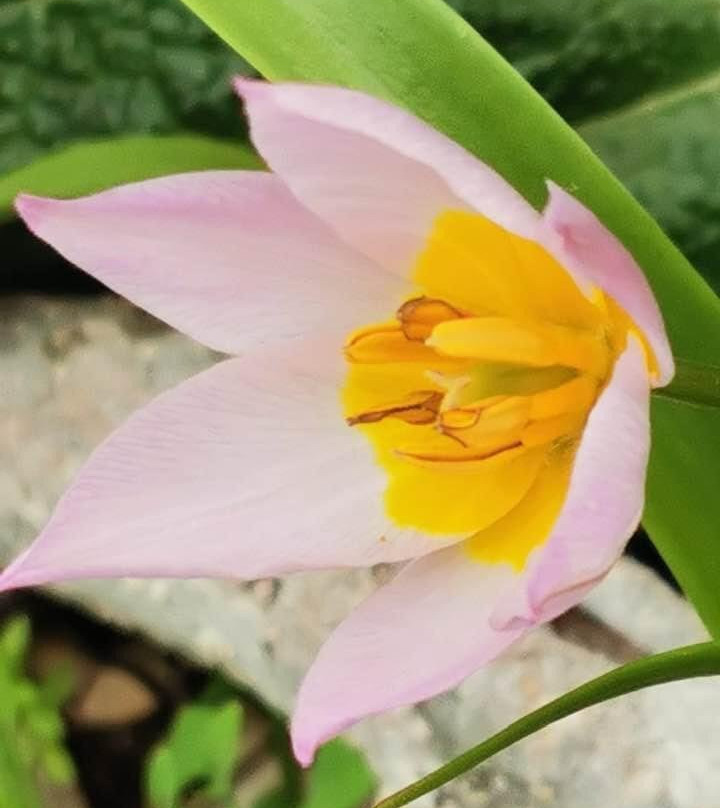 Karaincir Suit Otel主图