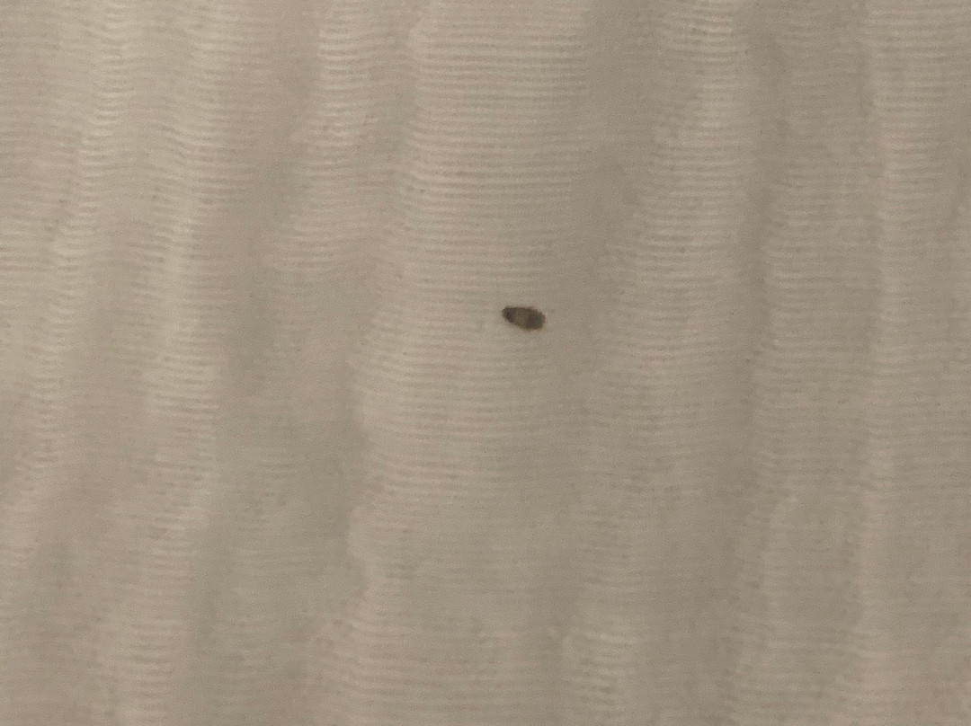 La Quinta Inn & Suites by Wyndham Orem University Parkway / Provo主图