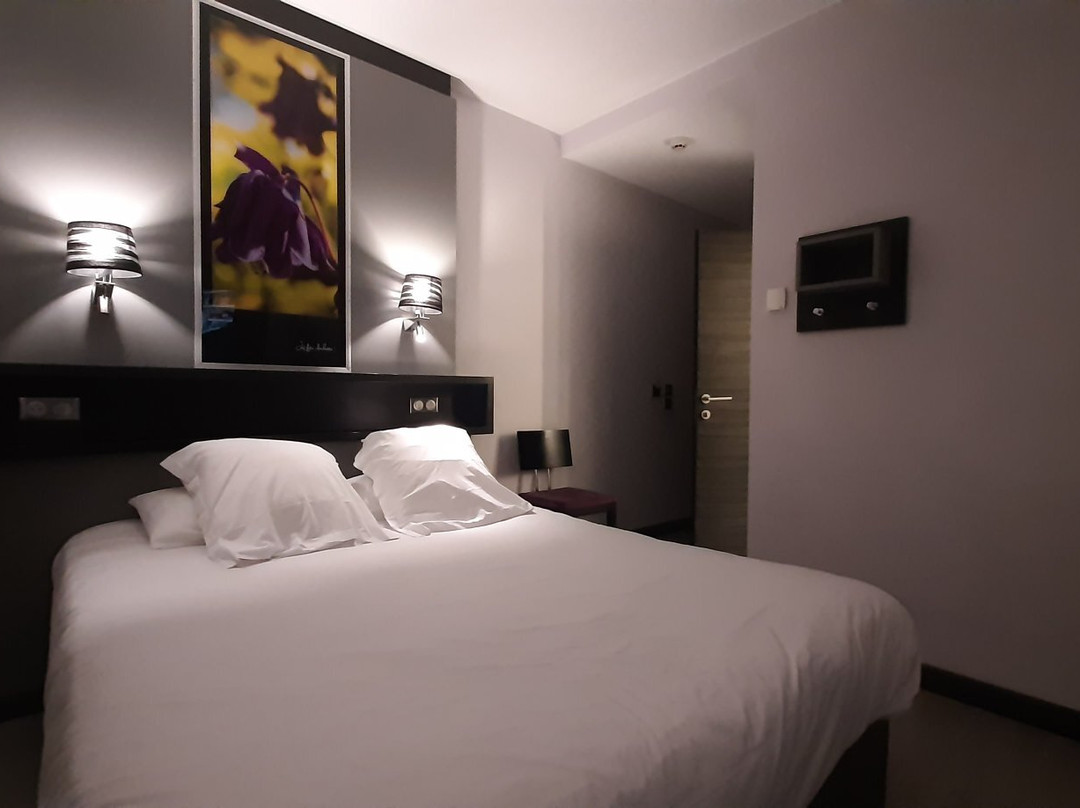 Logis Hôtel le Cheval Rouge主图