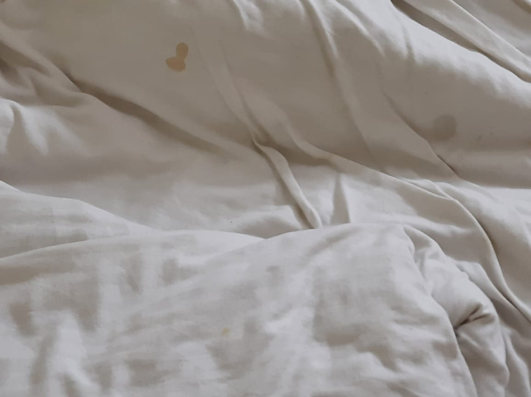 Rio Grand Hotel主图