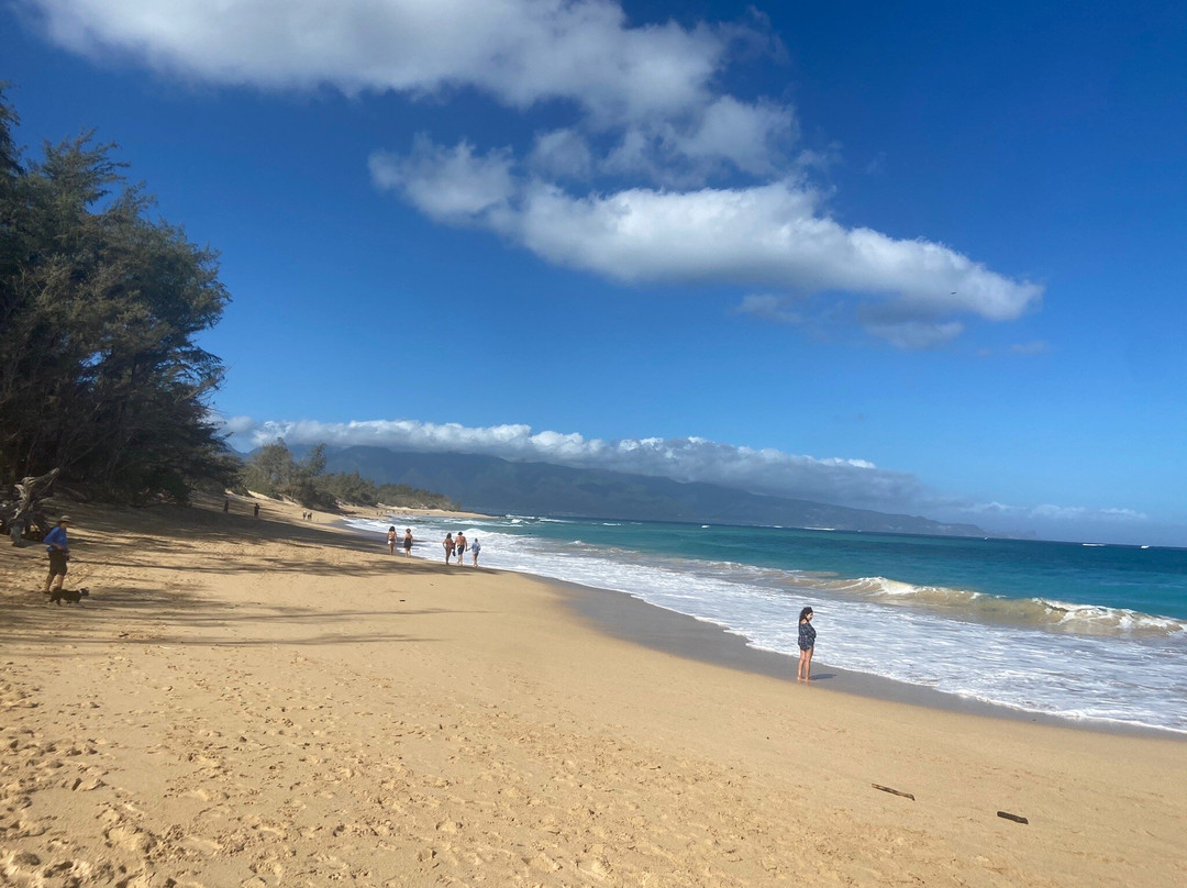 Baldwin Beach景点图片