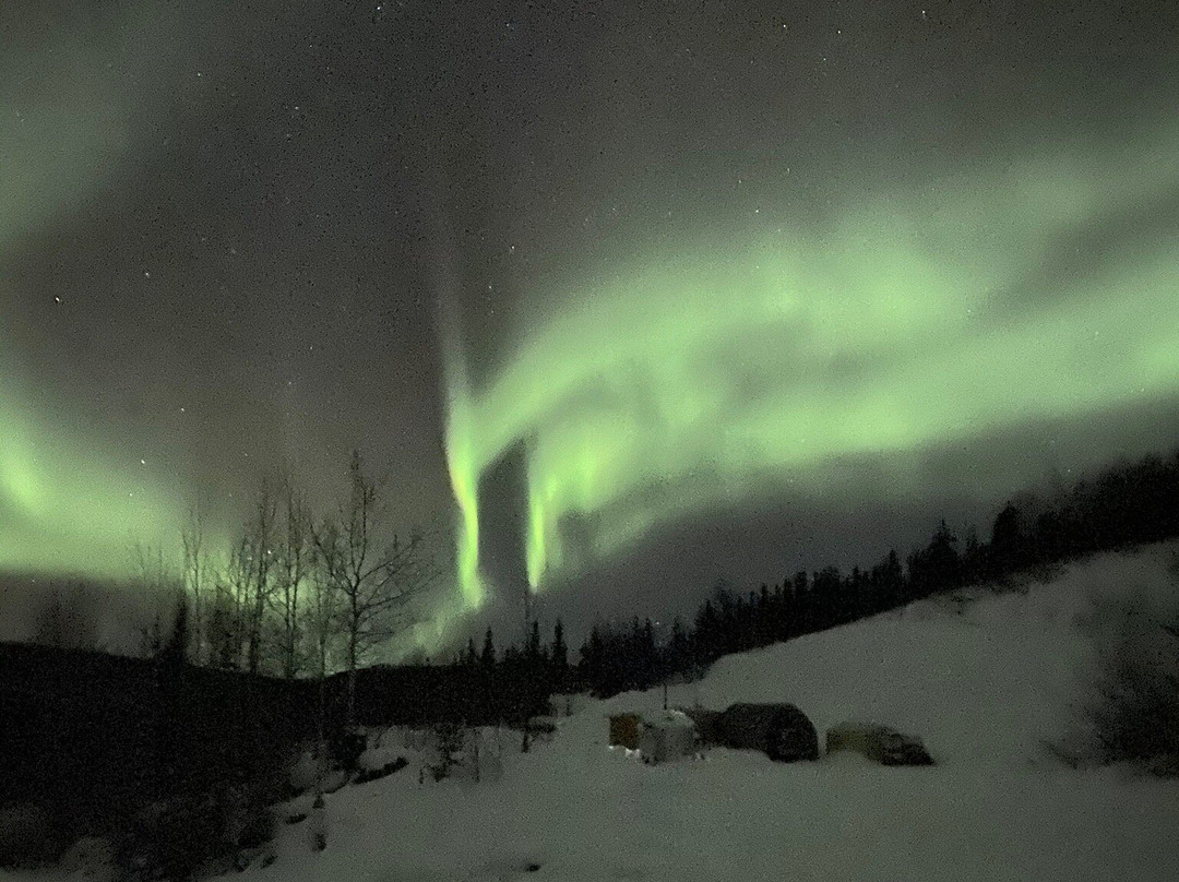 Airlink Shuttle and Tours-费尔班克斯必去景点