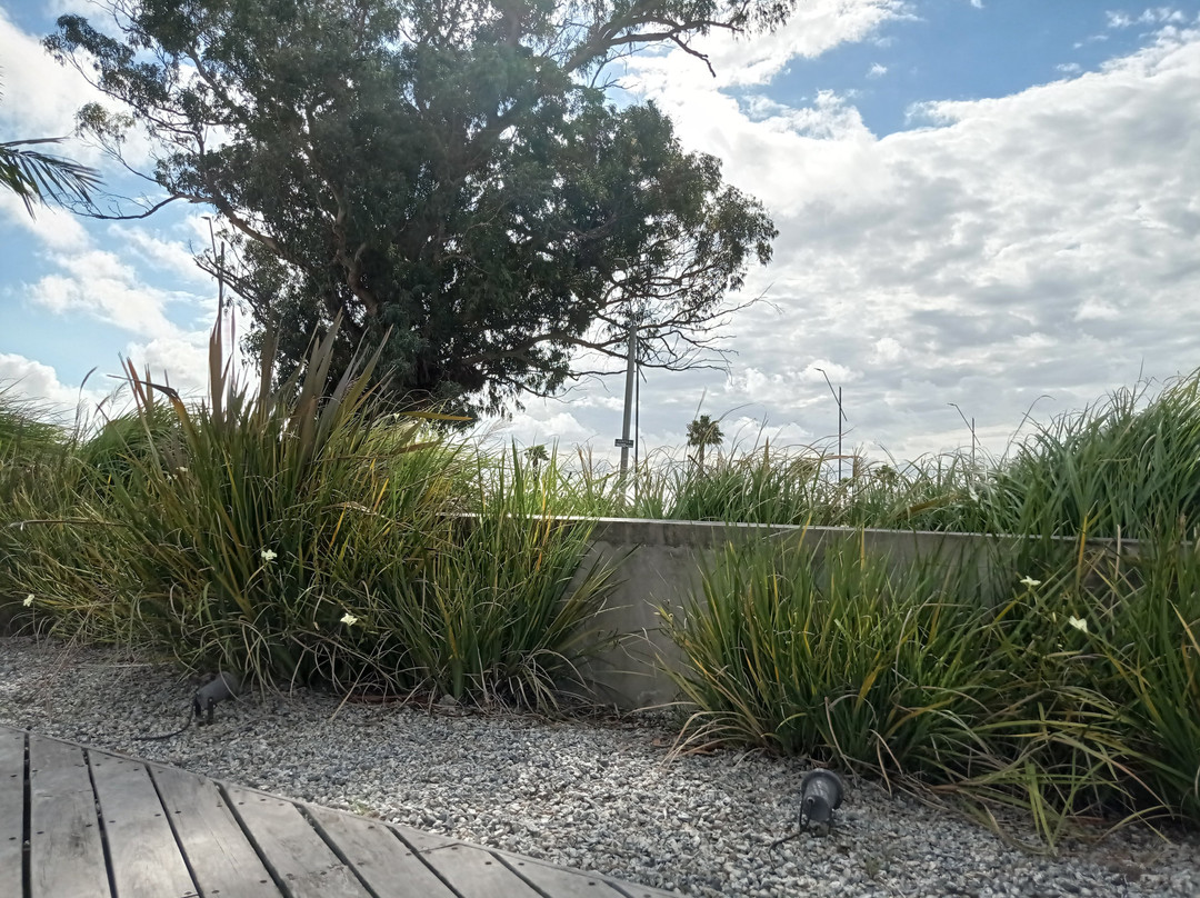 Costa Colonia Riverside Boutique Hotel主图