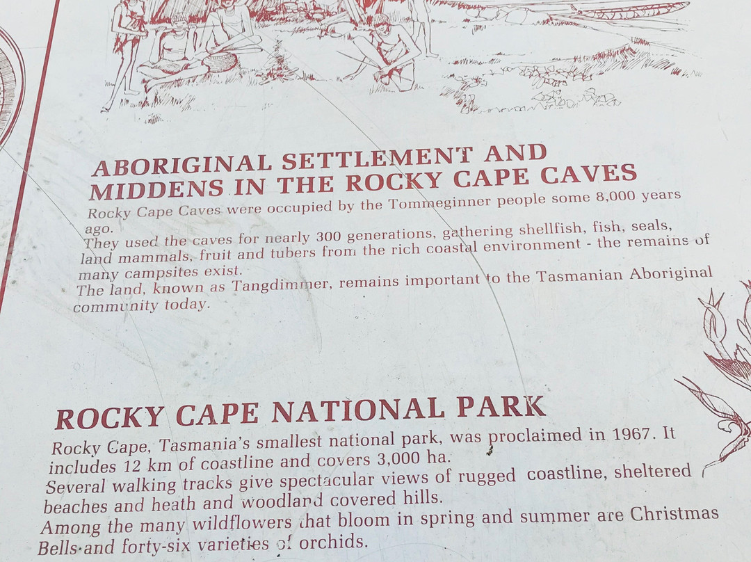 Trethewies Lookout-斯坦利必去景点