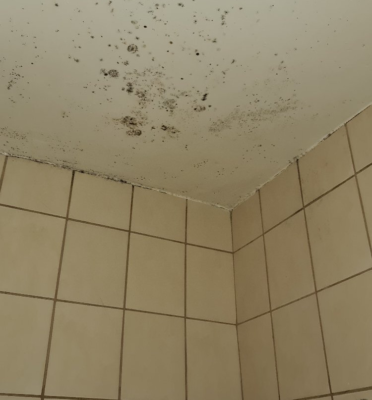 Airport Hotel Kimberley