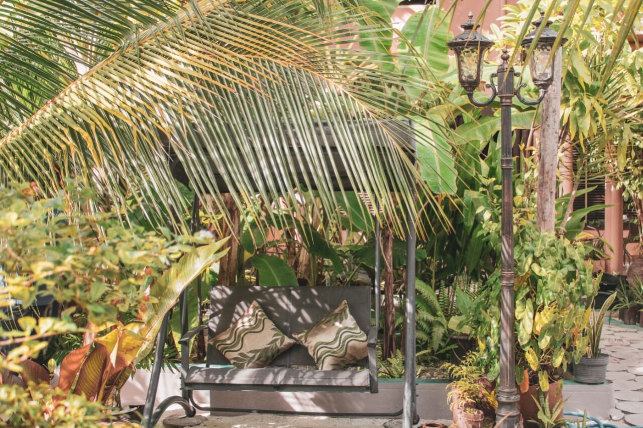 Daisy Cottage - Dhangethi-官方