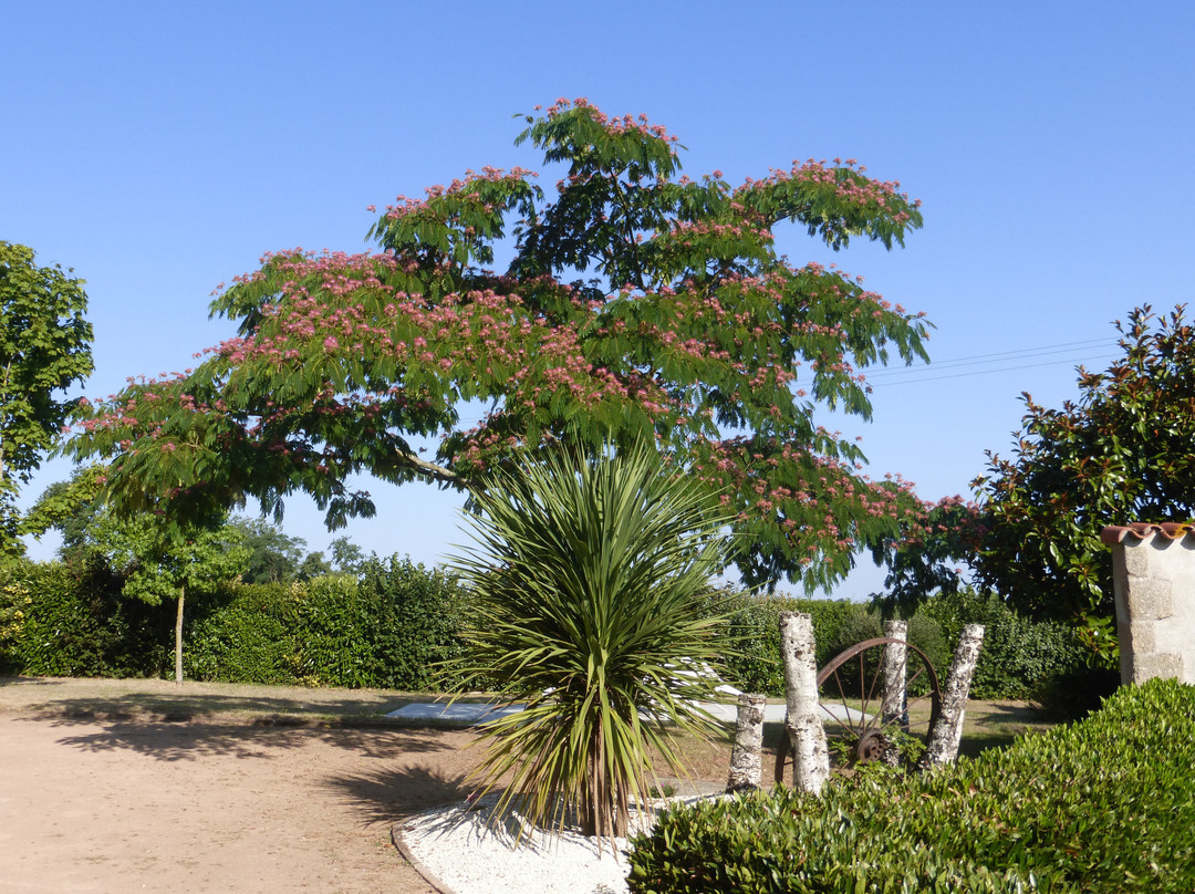 Chambres d'hôtes le Cerisier主图