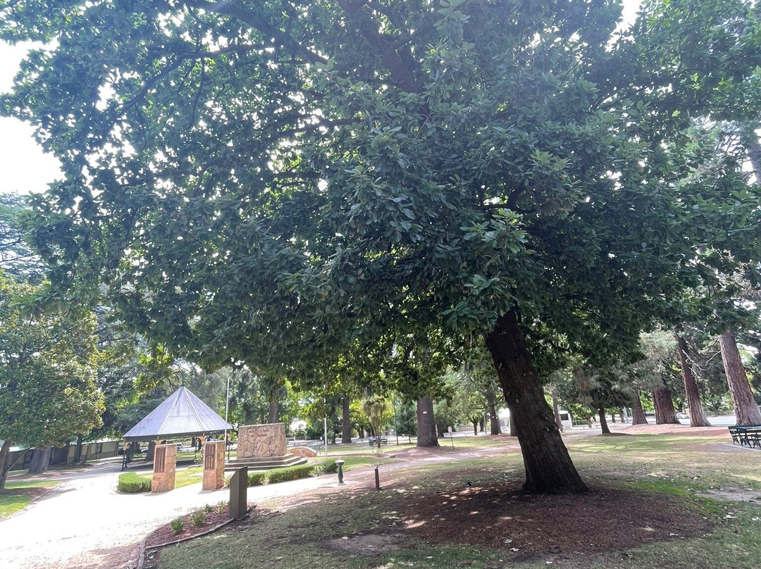 Town Hall Gardens-比奇沃思必去景点