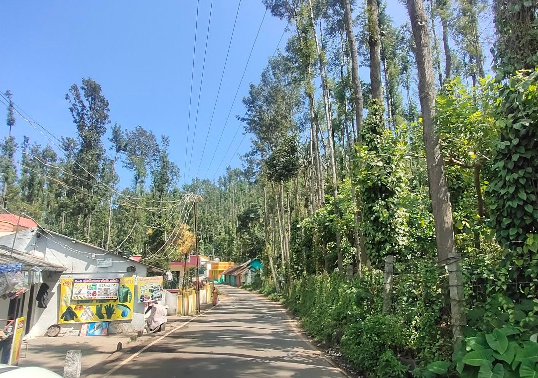 32-km Loop Road景点图片