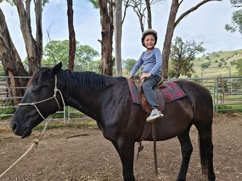 Tamworth Kootingal Horse Riding Adventures-塔姆沃思必去景点