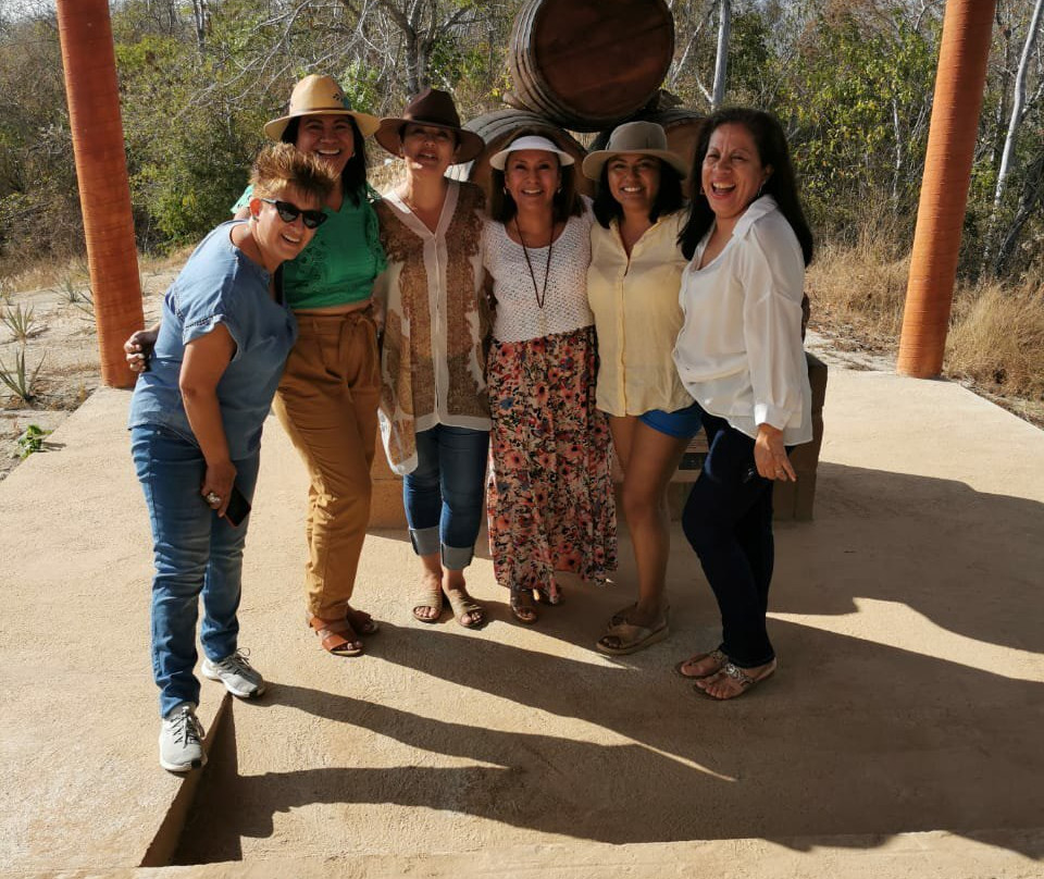 Agave Fields-瓦图尔科必去景点