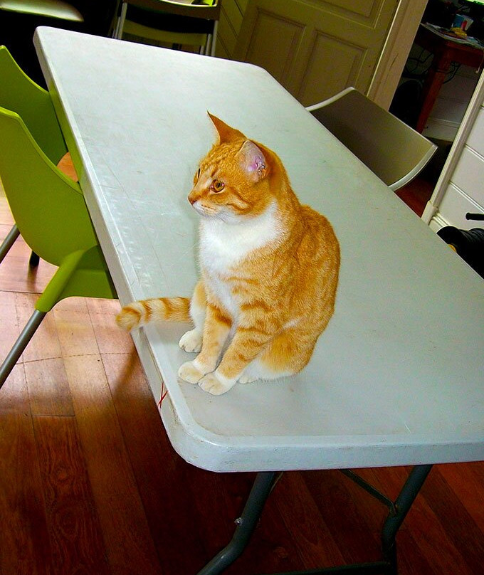 La Maison Celieres-努美阿必去景点