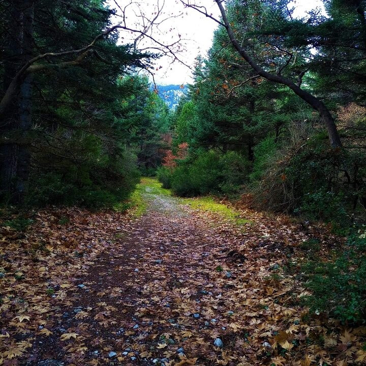 Lake Doxa-Feneos必去景点