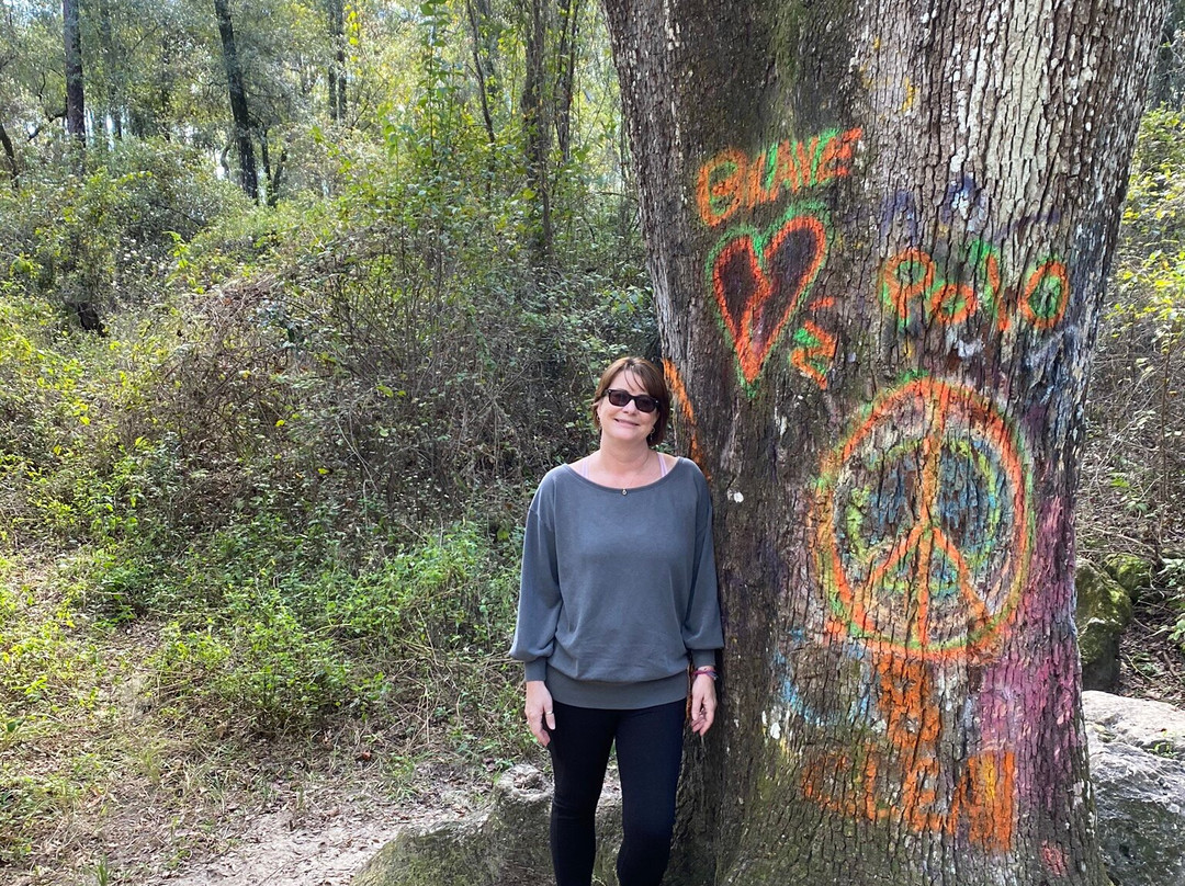 Dames Cave-Lecanto必去景点