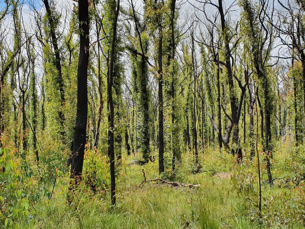 Burragorang Lookout-Camden必去景点