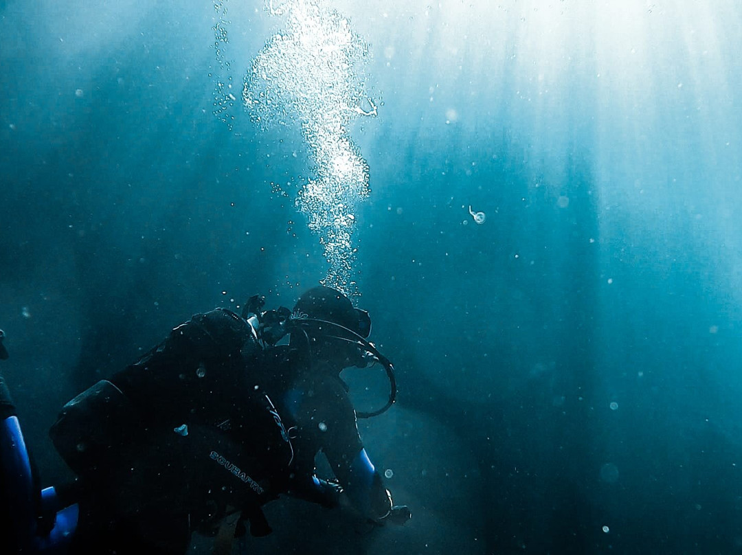 Sea Spirit Diving Resort景点图片