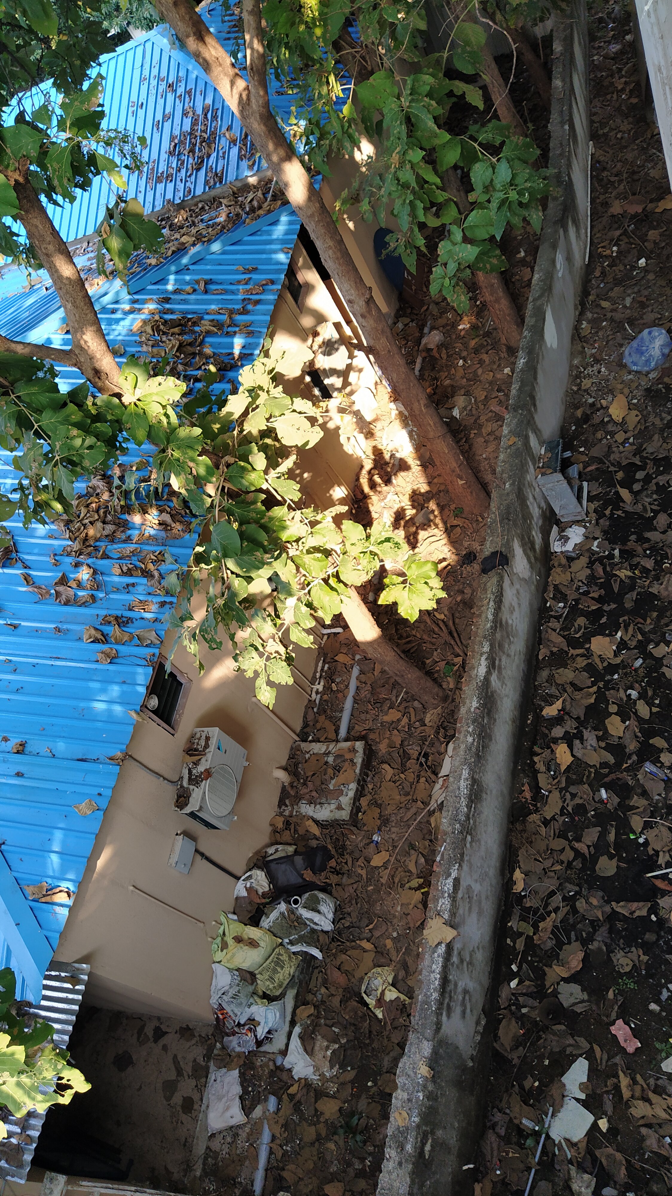 Banyan Paradise Resort-酒店景观