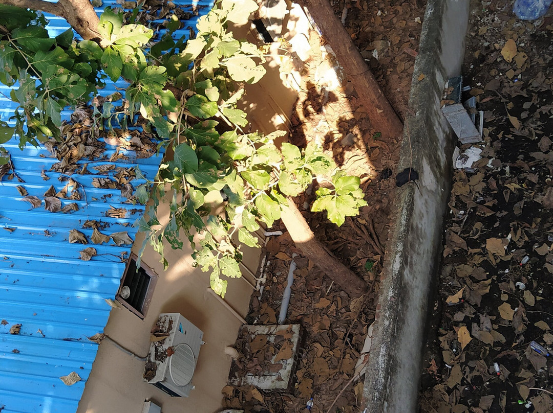 Banyan Paradise Resort主图