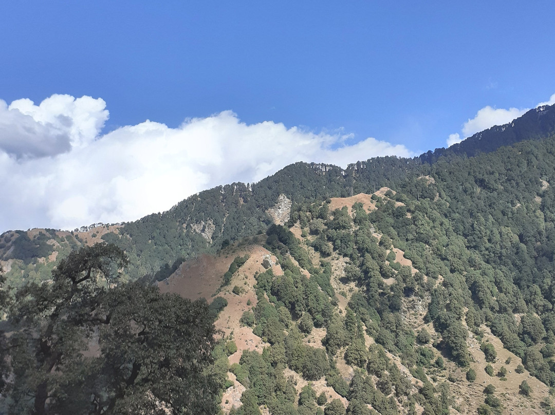 Travel Bir Billing景点图片