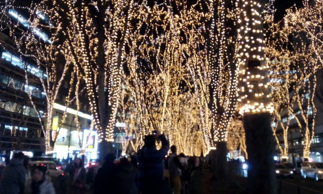 Jozenjidori Ryokuchi-仙台市必去景点