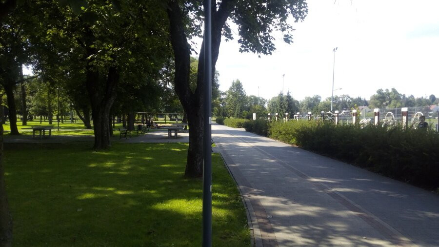 The City Park. Adam Mickiewicz