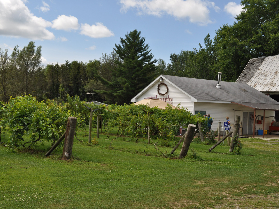 Jomagrha Vineyards & Winery景点图片