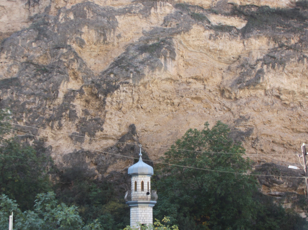 Sangar Mosque景点图片