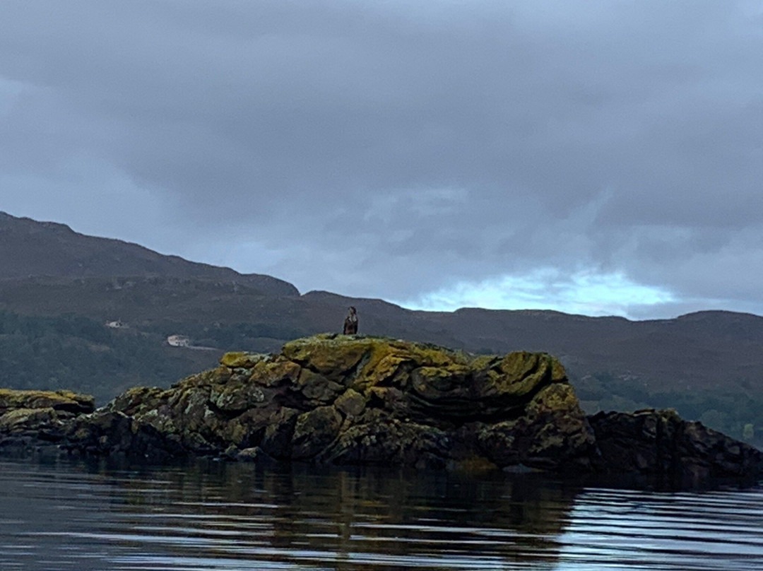 Shieldaig Outdoor Adventures景点图片