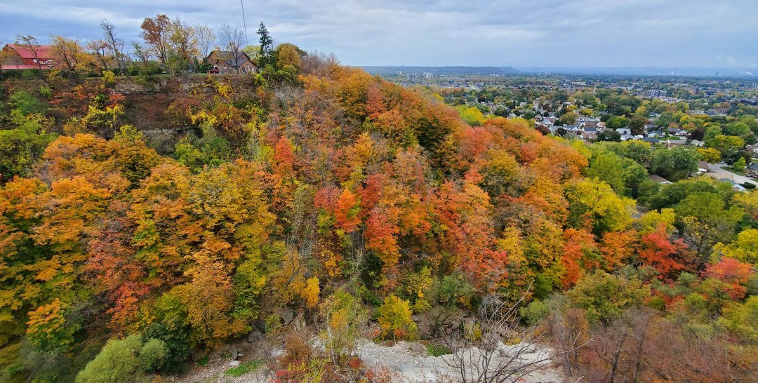 Devil's Punchbowl Conservation Area-Stoney Creek必去景点
