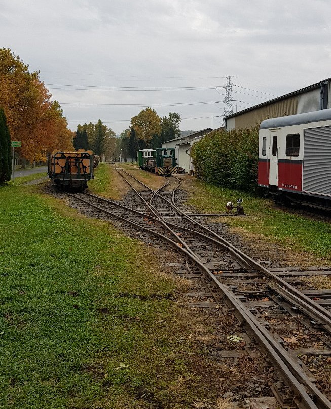 Forestry Railway, Csomoder景点图片
