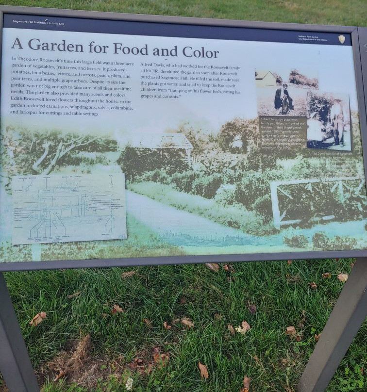 Sagamore Hill National Historic Site景点图片