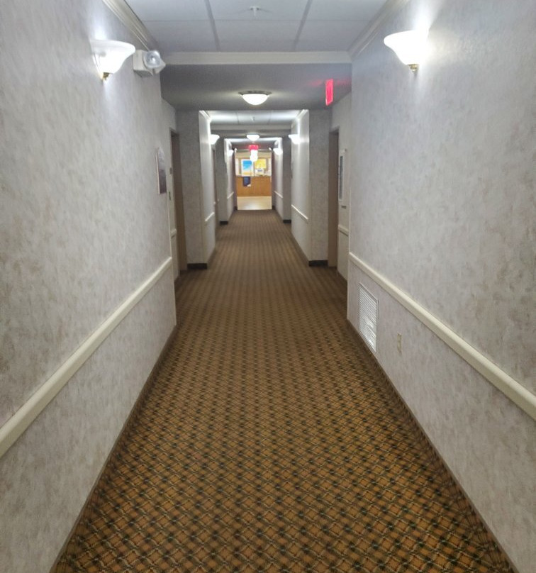 Spark by Hilton Dumas主图