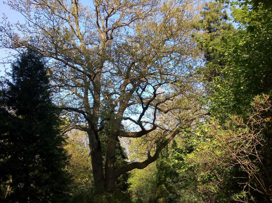Arboretum Mlynany SAV-Slepcany必去景点