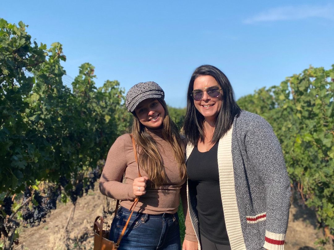 Kacaba Vineyards Winery-威兰德必去景点