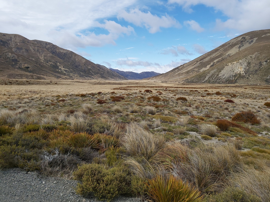 Molesworth High Country Tours-布伦海姆必去景点