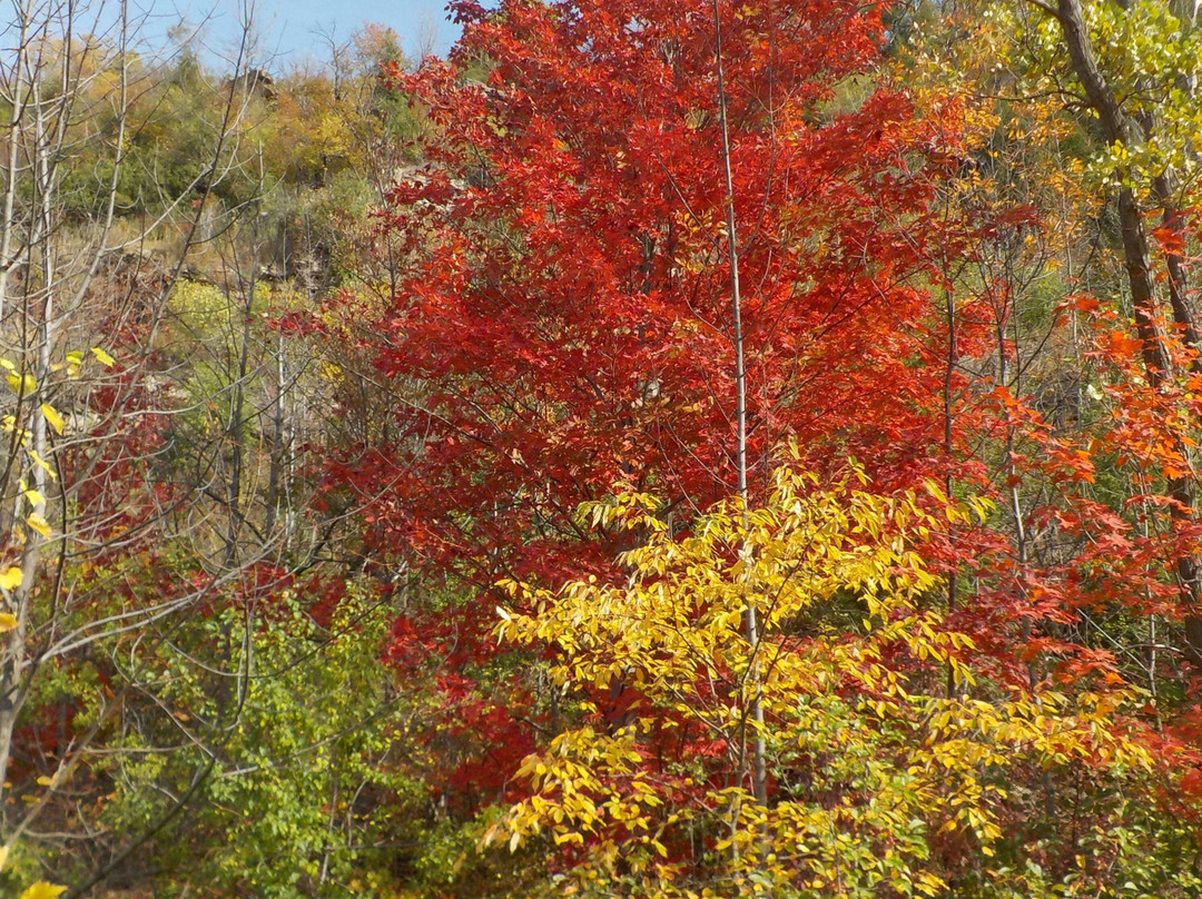 Artpark-Lewiston必去景点